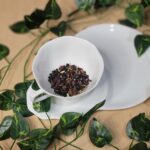 Elderberry Protection Brew