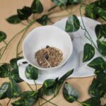 Healthy Bladder Brew